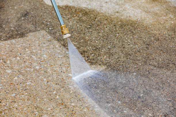 Best Roof Cleaning and Mildew Removal in Martinsville, NJ